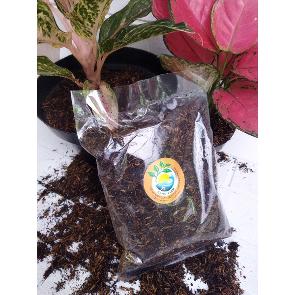 METAN POROUS Fermentasi SIAP PAKAI. Media tanam Aglonema Fermentasi Super untuk Aglonema, Anggrek da