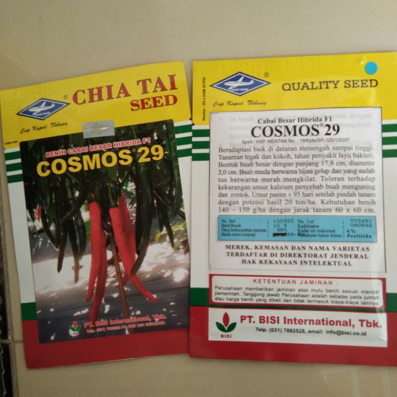 Bibit Benih Cabai Cabe Besar Hibrida F1 COSMOS 29. Berat 10gr