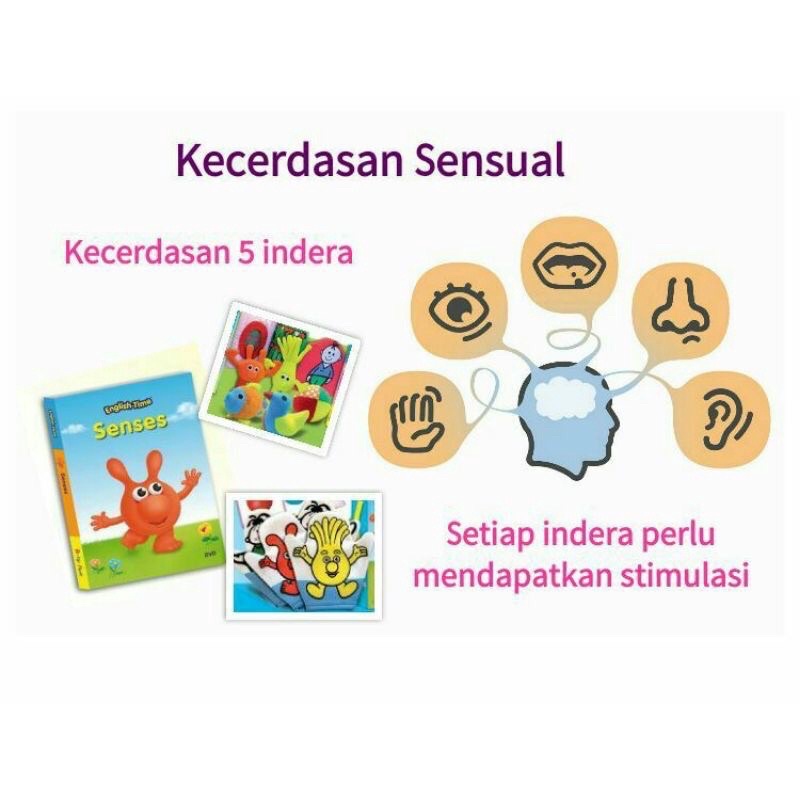 Buku English Time Baby Pack Untuk Stimulasi Kecerdasan Anak