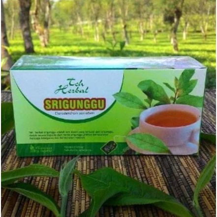 Obat herbal ampuh mengobati batuk berdahak asma sesak napas dan gurah dengan teh srigunggu asli original 100% herbal