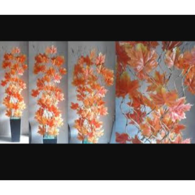 Bambu ulir 1paket sama pot