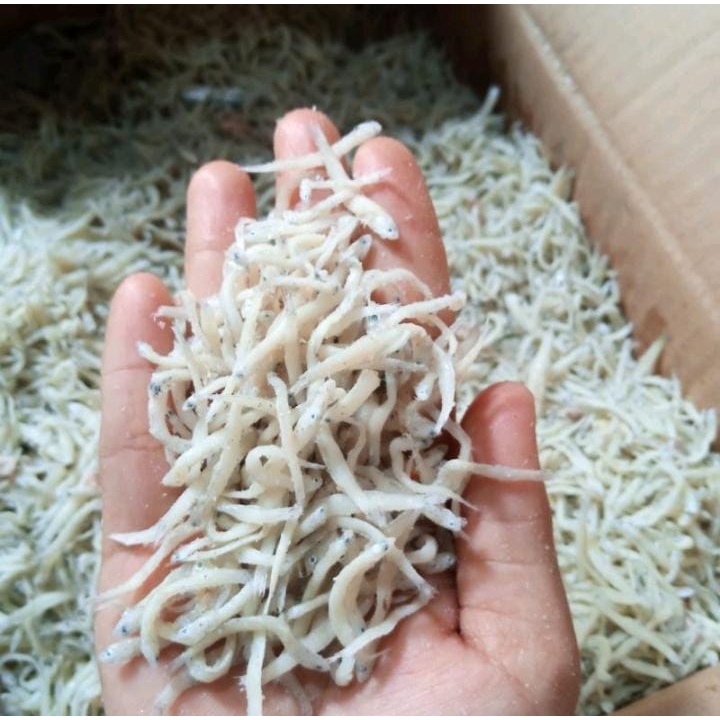 Ikan Asin Teri Nasi Medan 1Kg Murah Ikan Teri Nasi