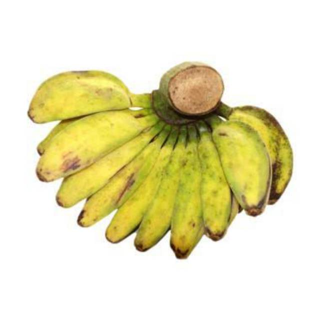 

Pisang Kepok 1 sisir