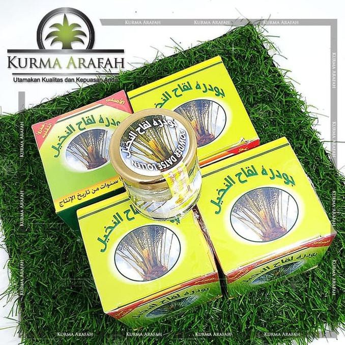 

Produk Terbaik Limited! Serbuk Kurma Muda Powder Dates Lollen Original - Araf111273