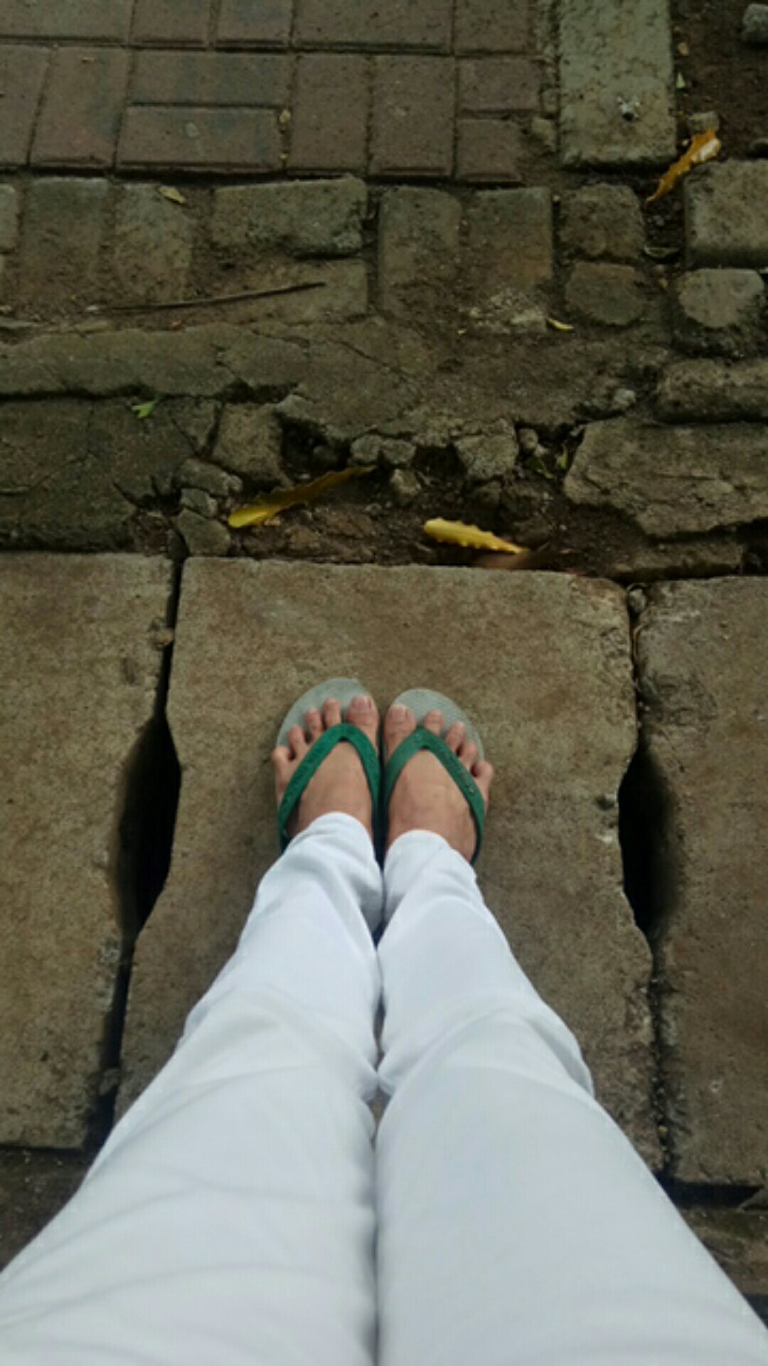 Odza Classic Kemeja Batik Solo Lengan Panjang Baju Pria Sogan Slim Fit