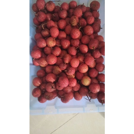 

Leci Segar Sehat per box 7 kg