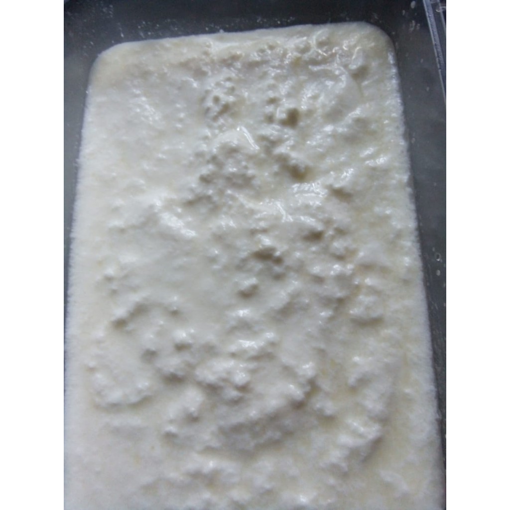 

Bibit Grain Susu Kefir Solo