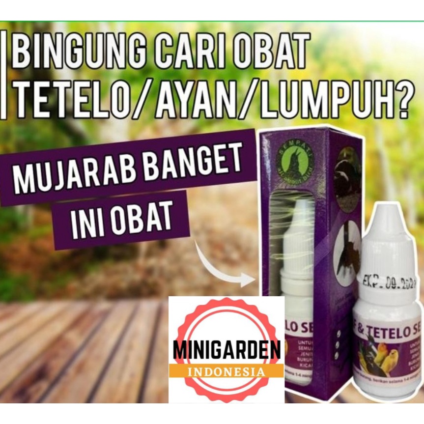 OBAT SARAF BURUNG TETELO obat burung ayan gangguan saraf lumpuh pelancar darah vitamin anti stress