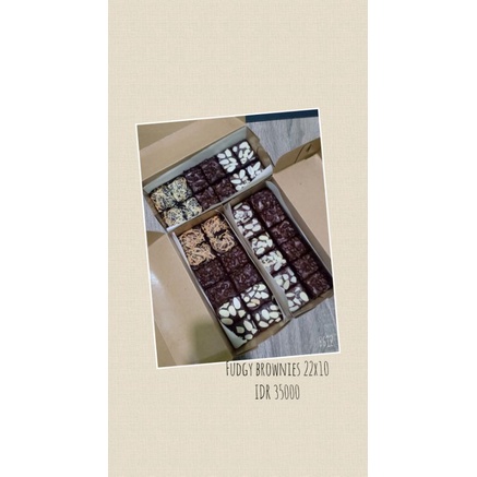

fudgy brownies 22x11