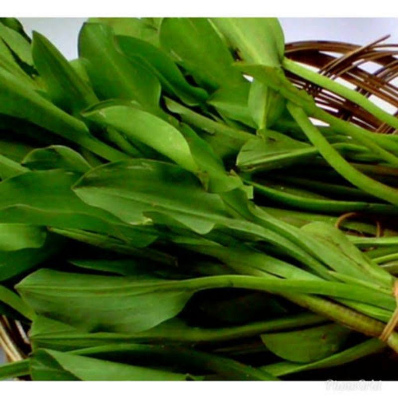 

Bandung Sayur Segar - Genjer