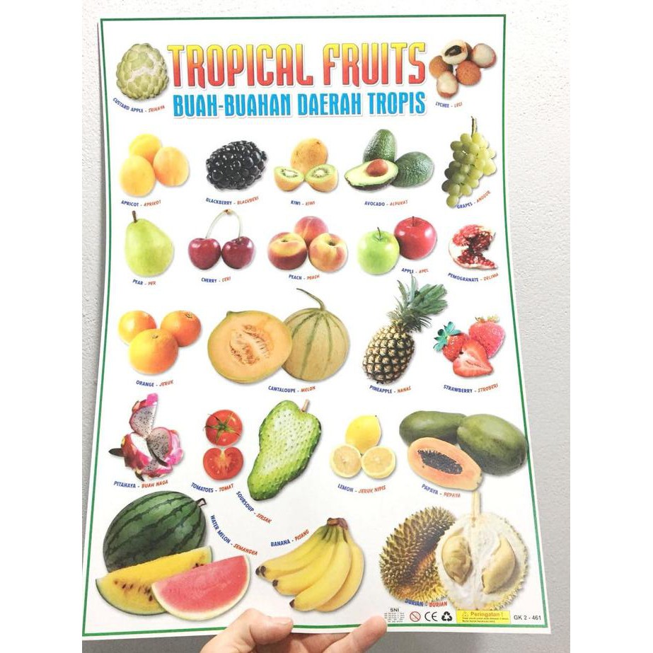 Kualitas Terbaik] Mainan Poster Edukasi Mengenal Buah Tropis Termurah