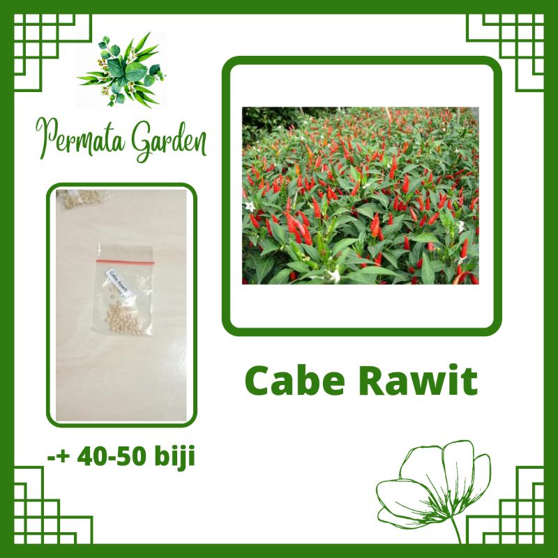 Benih Cabe Rawit Hijau Unggul