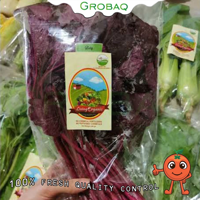 

SAYUR BAYAM MERAH ORGANIK