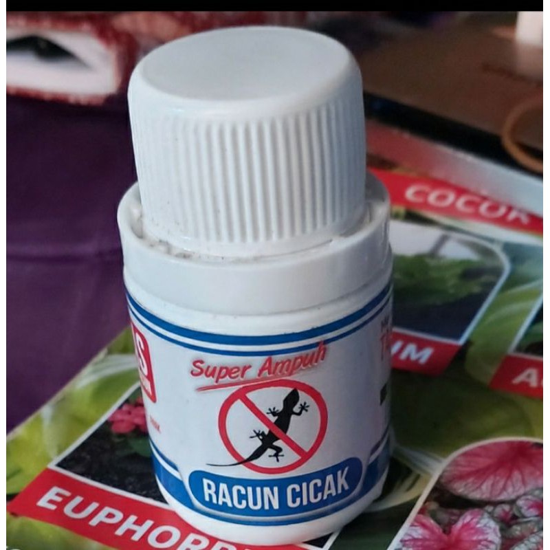 Pembasmi Racun Cicak Ampuh