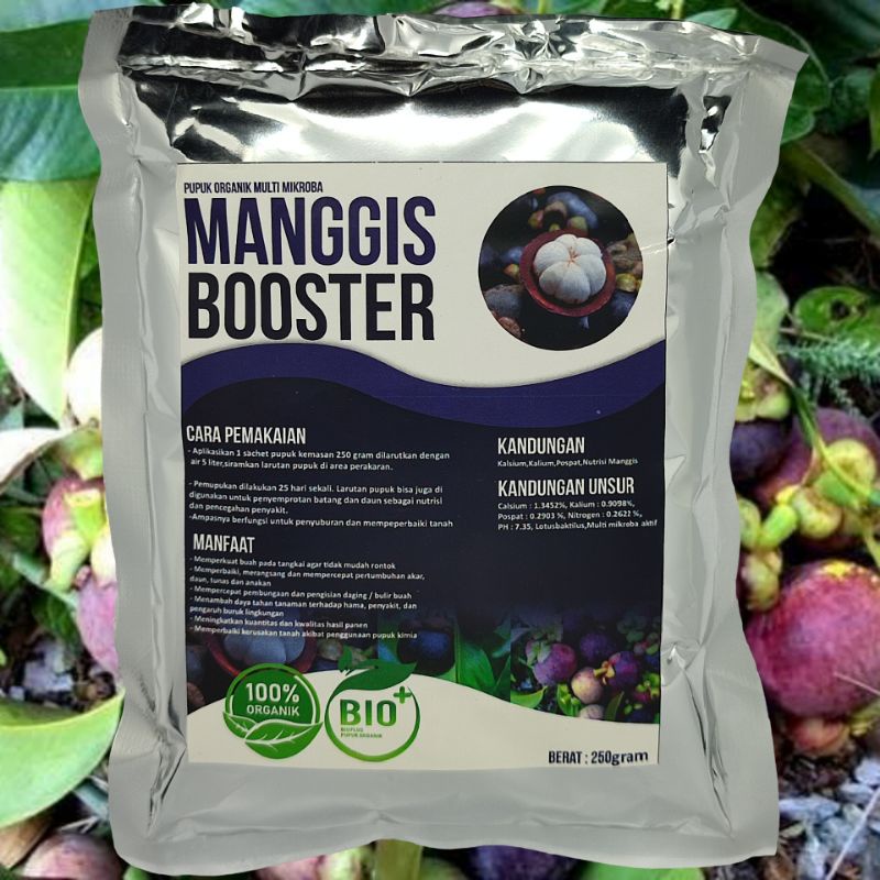 Pupuk Manggis Cepat Berbuah Pupuk Booster Manggis Pemacu Cepat Berbuah Lebat Pupuk Pelebat Manggis P