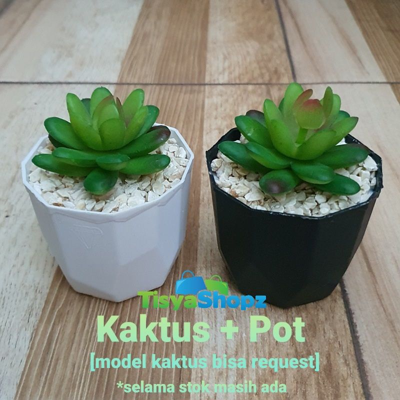 Kaktus Mini + Pot Permata / Sukulen Plastik Bahan Latex (cocok untuk Souvenir)