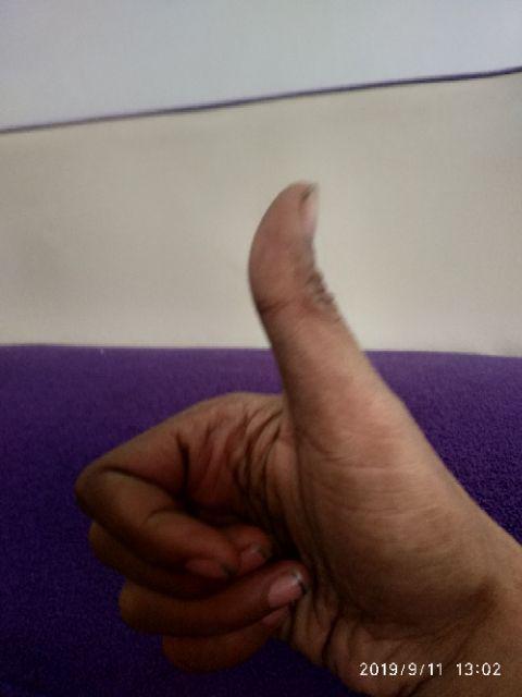 Botol Spray Semprotan Burung Taman Bunga 500 Ml Kenmaster 3 Warna Termurah Berkualitas