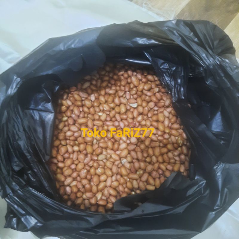 

Kacang Tanah 1 Kg