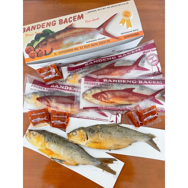 

Bandeng Bacem bandeng presto rasa asin Biasa/Fresh 1kg isi 5 ekor