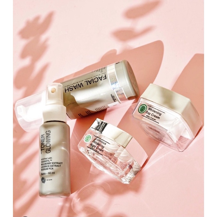 MS Glow Luminous Paket Wajah / Day Night Krim Toner Sabun Wajah Free Tas MS Glow