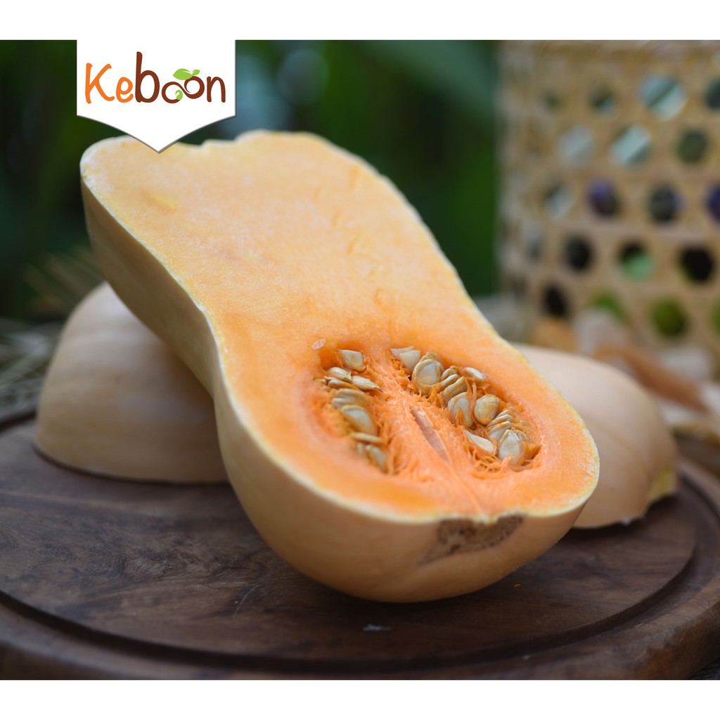 

Pumpkin Butternut