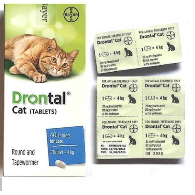 drontal cat original