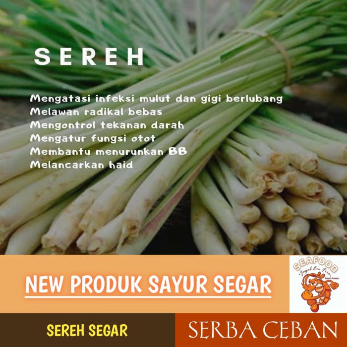 

PROMO SEREH SEGAR SERBA CEBAN - 5 Ikat