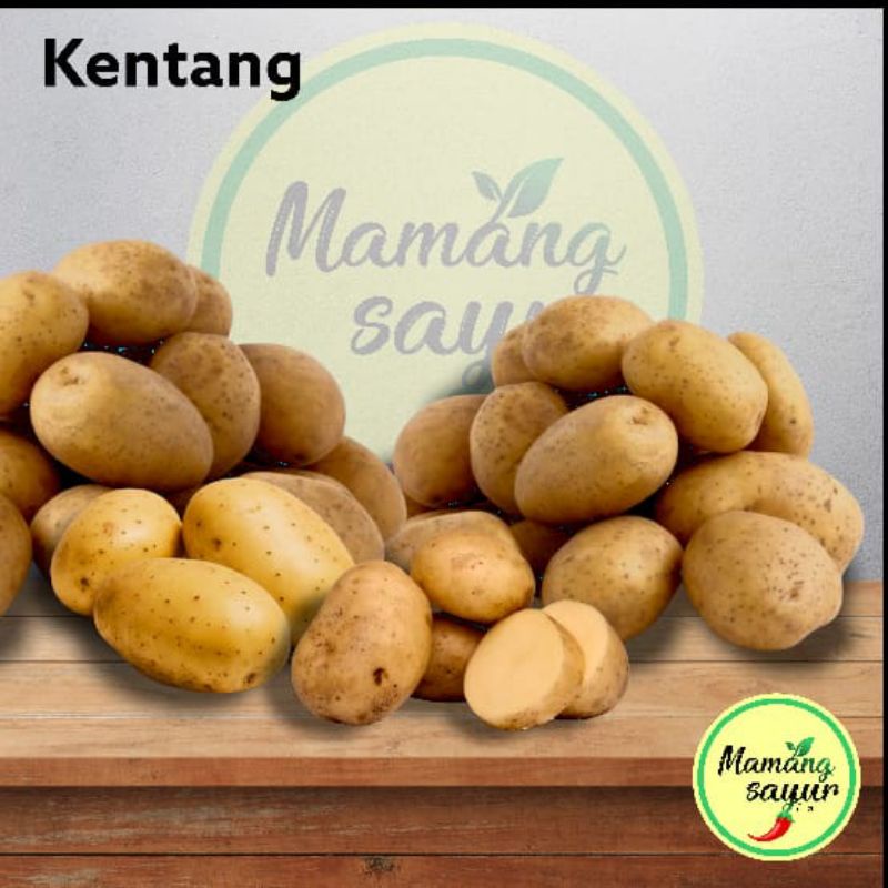 

Kentang Besar Super 1 Kg