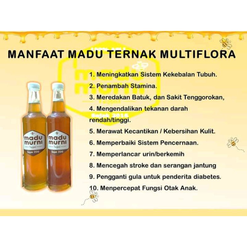 

Madu Murni Multiflora 650 Gram Madu Mentah Asli Dr Peternak Tanpa Campuran Apapun 100% Asli