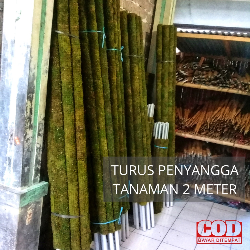 Turus lumut | Turus Tanaman 200 cm ukuran jumbo turus penyangga tanaman