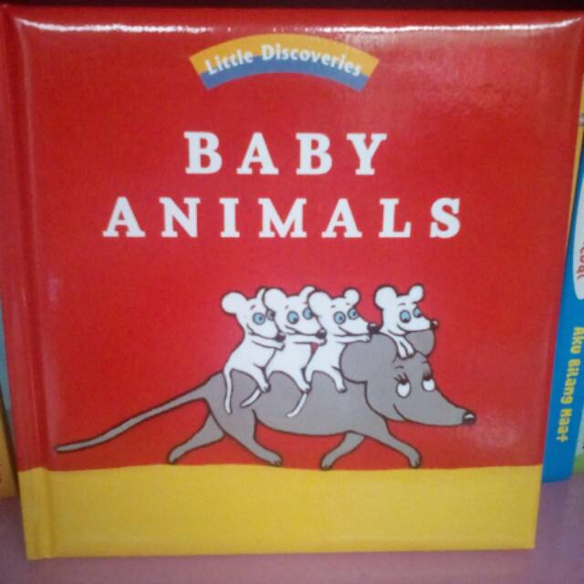 Little Discoveries Baby Animal