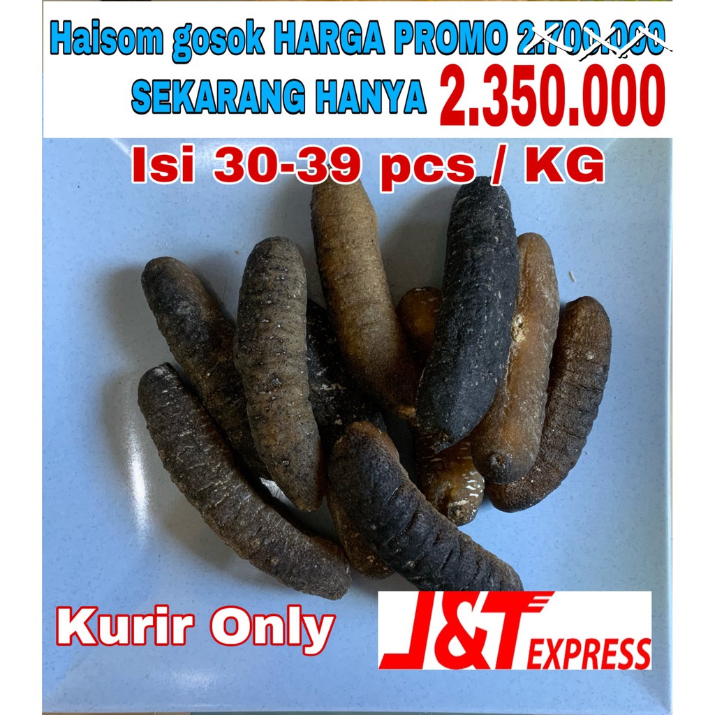 

TERIPANG GOSOK ISI 30-39 PCS / KG HARGA PROMO HAISOM HAISIM TERIPANG KERING