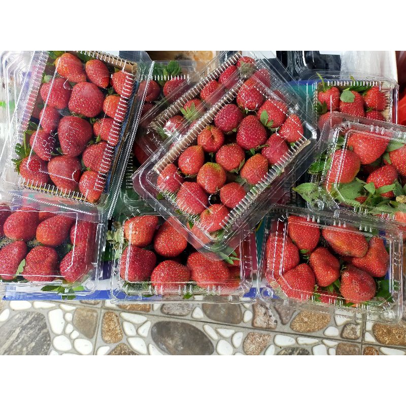 

Buah strawberry PILIHAN Segar ciweday (bandung) per 125 gr (ECERAN/GROSIRAN)