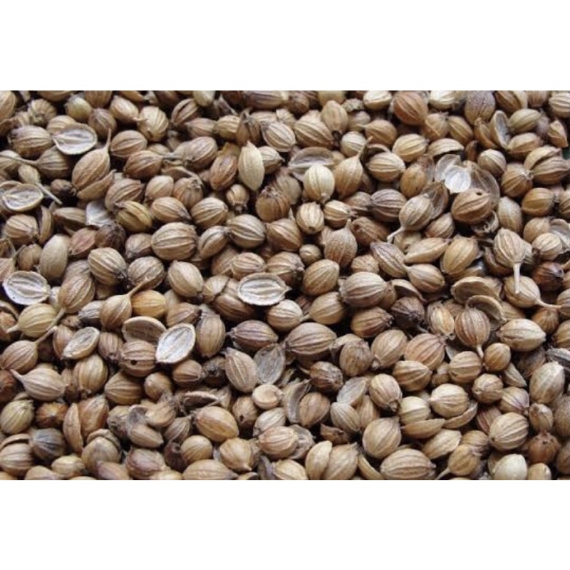 

KETUMBAR/BIJI KETUMBAR premium GRADE A/500g/KETUMBAR SUPER MURAHHH