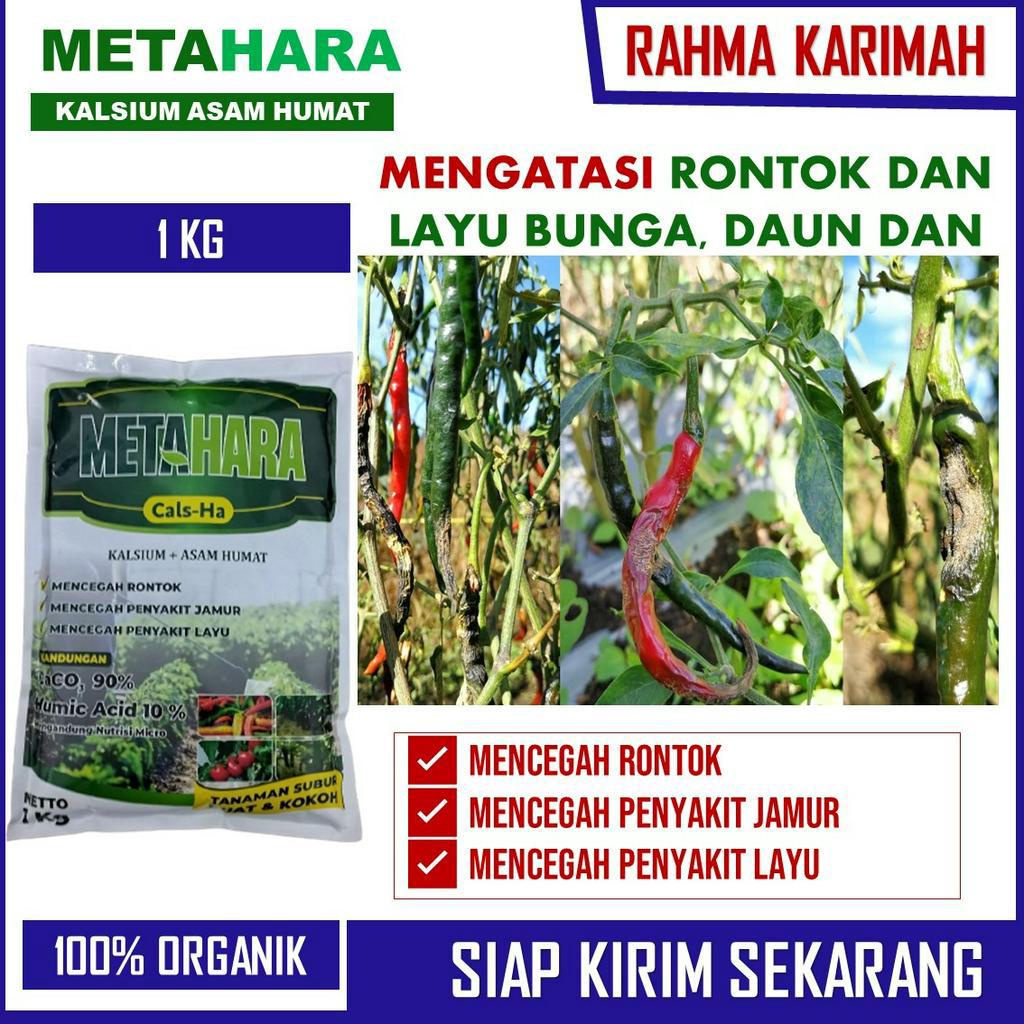 Pupuk Tepung METAHARA 1 KG Untuk Cabe Lebat Anti Rontok dan Layu – Pupuk Pengendali Hama Penyakit Ca