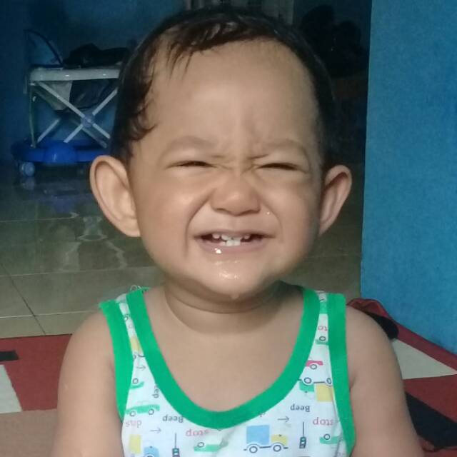 auliapdf
