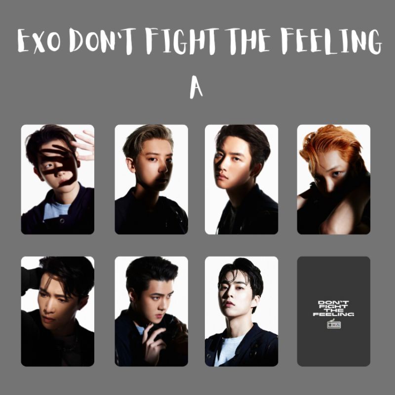 Photocard Exo Don't Fight The Feeling