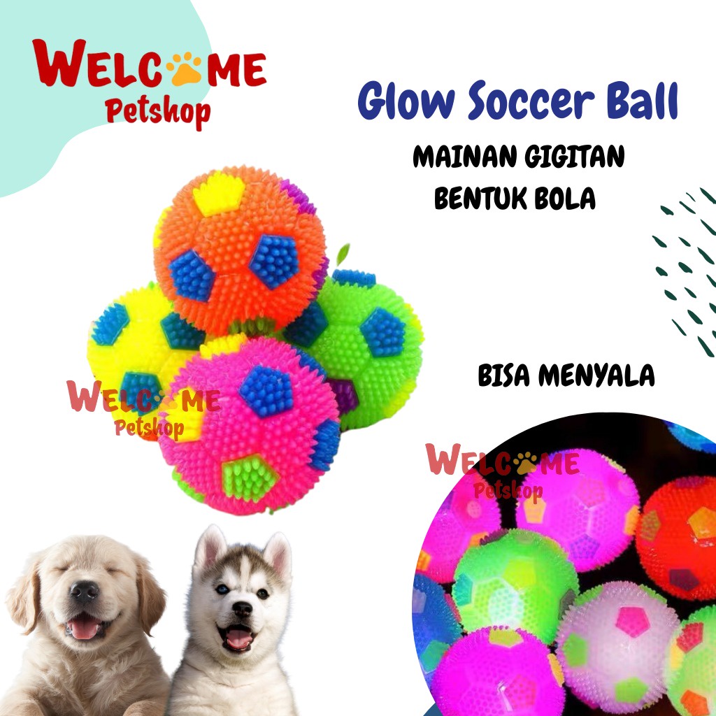 Glow Soccer Ball / Mainan Gigitan Anjing Bola Karet Nyala Dog Toy