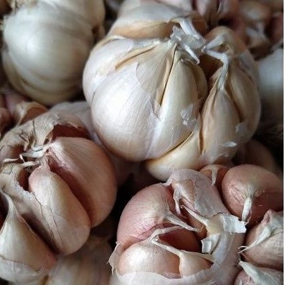 

Bawang Putih 250 gram