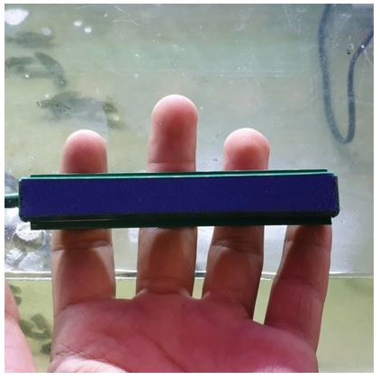 Batu Aerasi Aerator Angin Kolam Aquarium 8Inch Gelembung