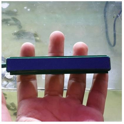 BATU ANGIN 4 INCH - Aerasi Aerator Kolam Aquarium Gelembung Ikan Oxygen