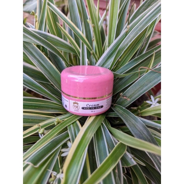 CREAM ALL IN ONE cream all in one WA Beauty Wasila Cosmetic WA BEAUTY krim aio krim pemutih ampuh kr