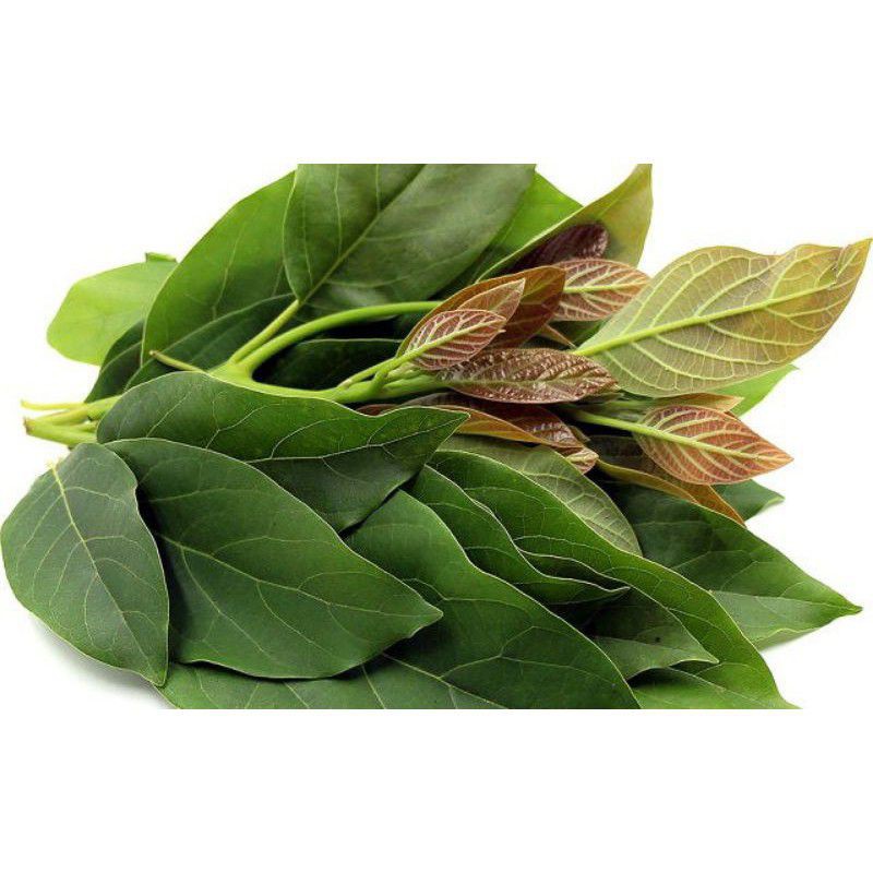 

daun alpukat prees 500g