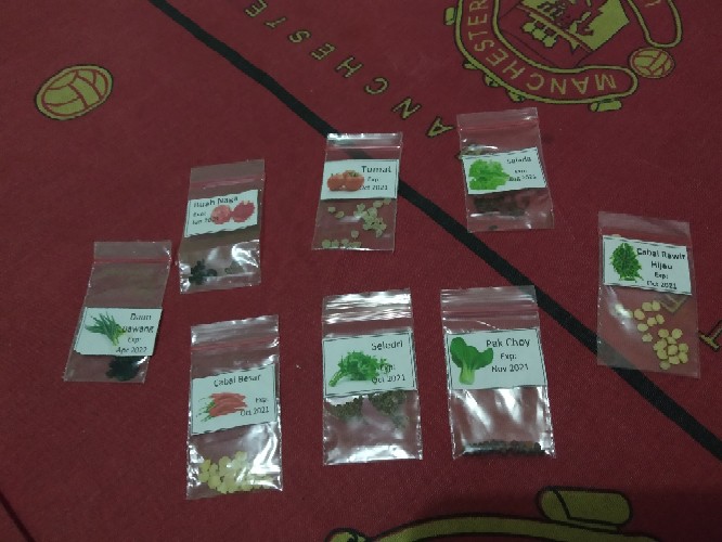 Isi 10 Biji- Benih Unggul Cabe/cabai Besar
