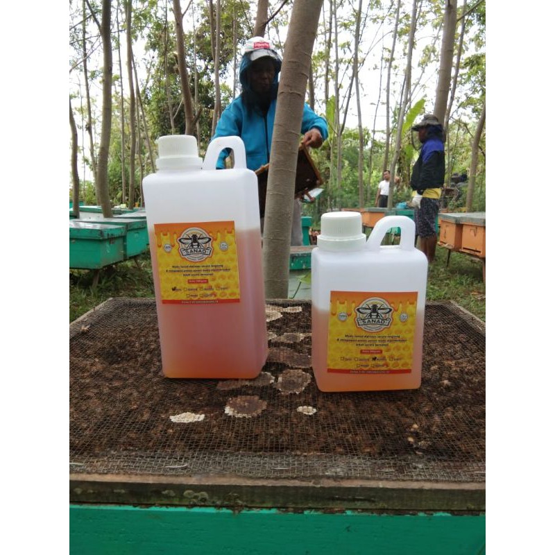 

Madu Asli Murni Multiflora 1kg II Madu Hutan Liar Sanad Alam Honey II Madu Asli Randu