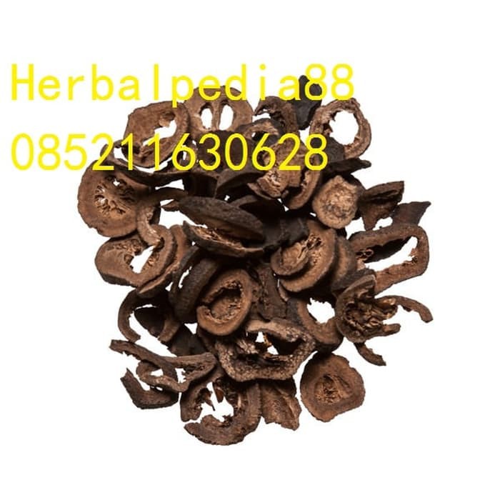 

Zhi Shi Aurantium Immature Bitter Orange Fruit 100 gram