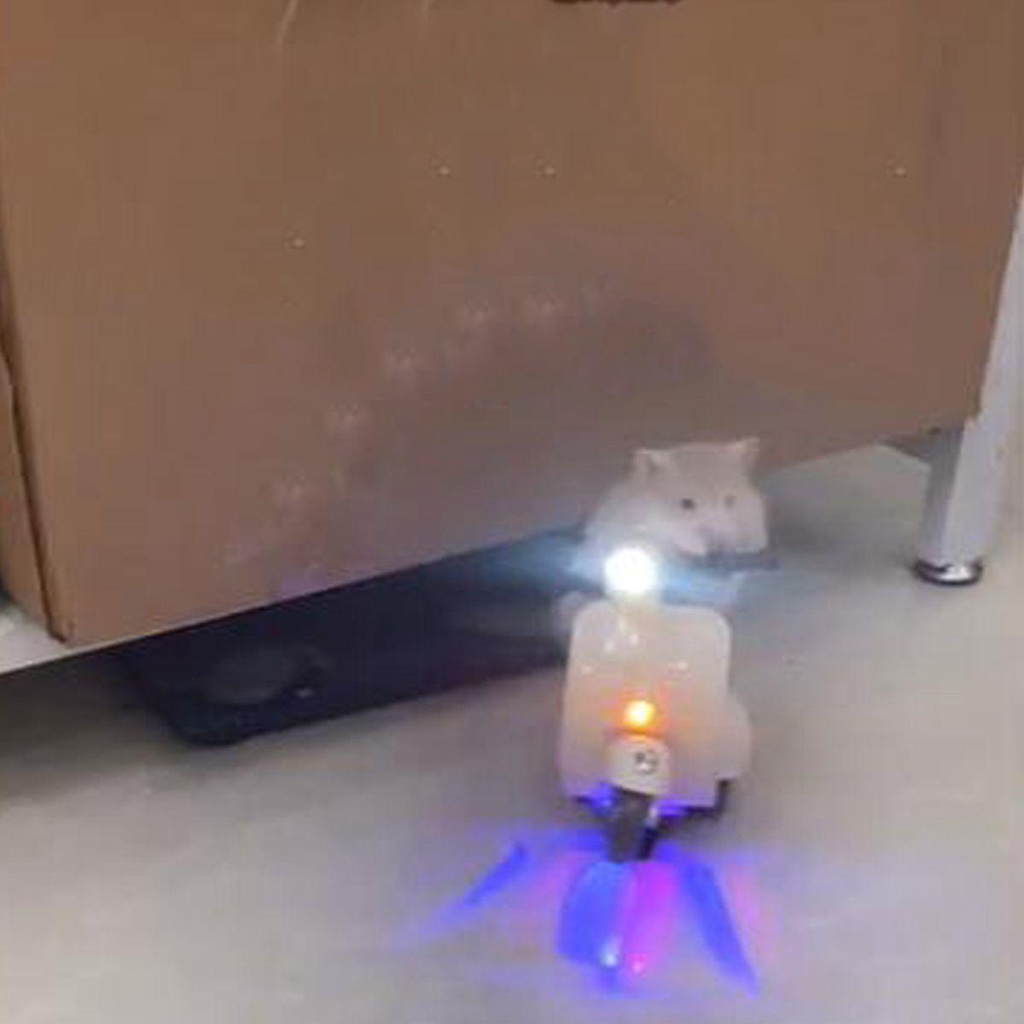 Lanfy Motor Stunt Lighting Berputar 360derajat Elektrik Hamster Mainan