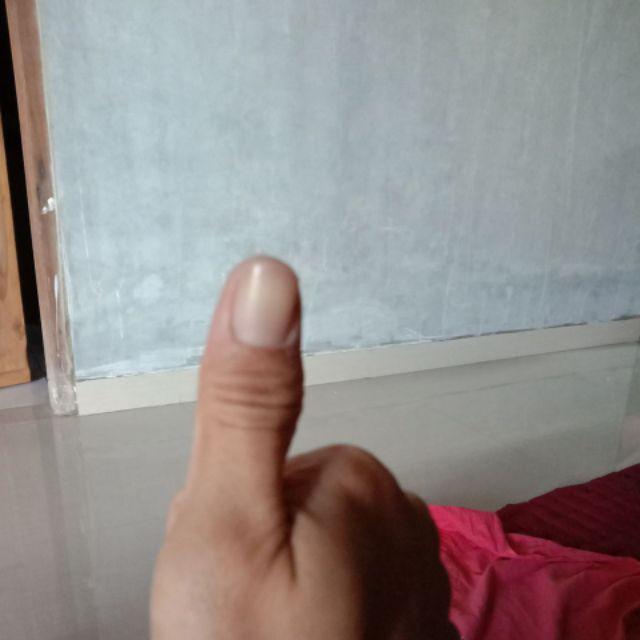 Kayu Naga Pengusir Tikus