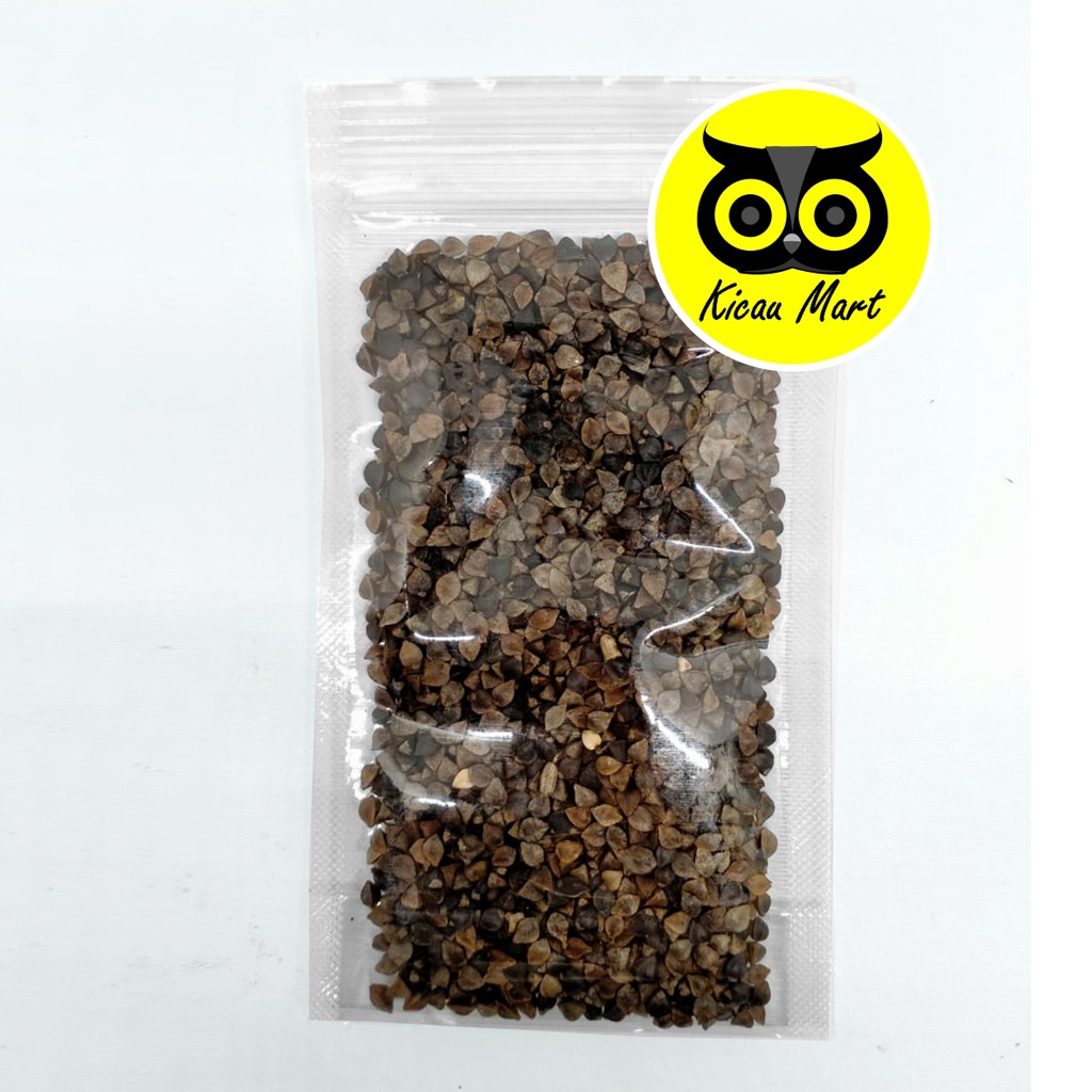BUCKWHEAT BIJI GANDUM HITAM ORGANIC ALAMI PILIHAN PAKAN BURUNG LOVEBIRD FINCH PARKIT SUNCONURE BUCKRF