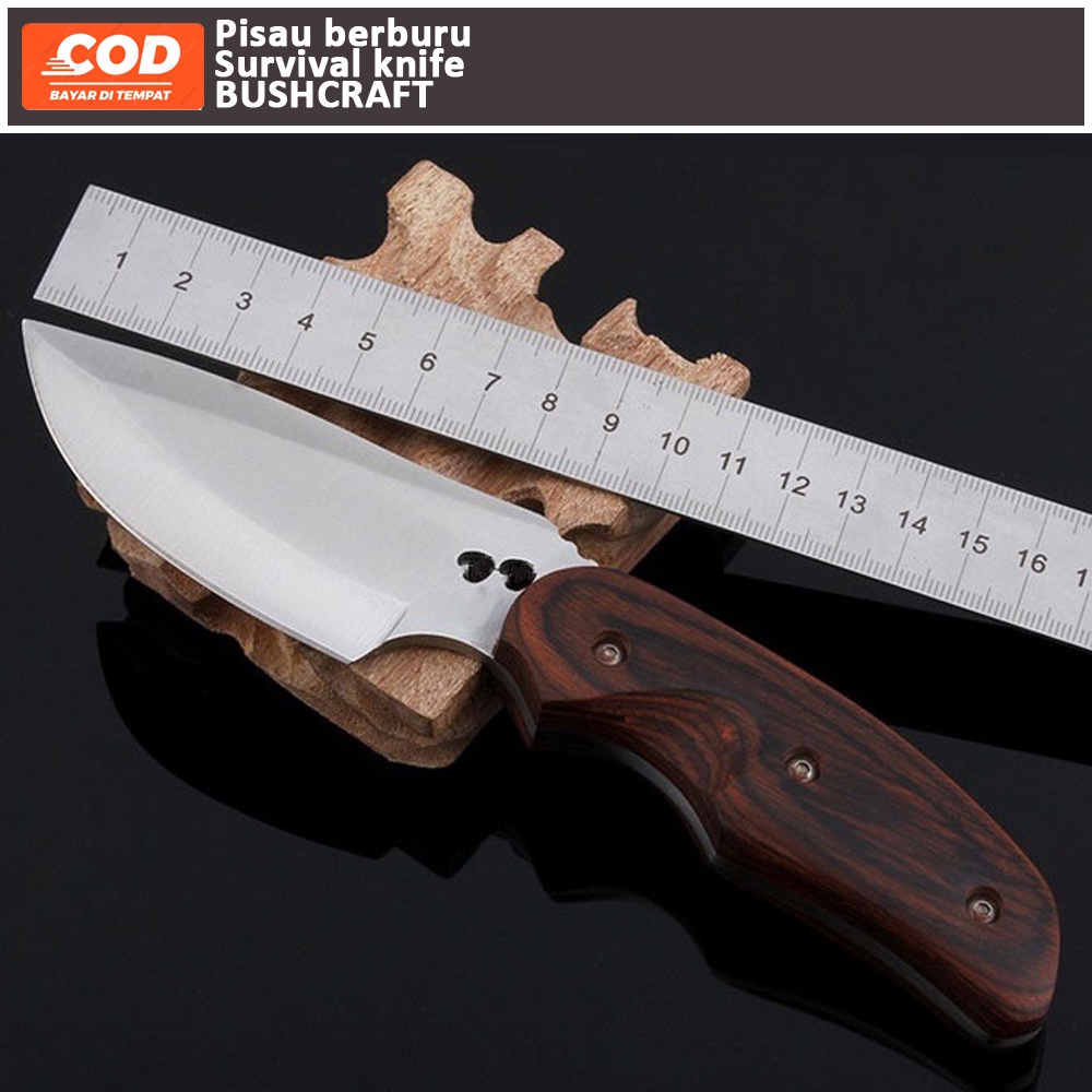 (COD) Pisau Survival Baja - BUCK076 - Brown